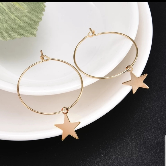 ☆Starla☆ Hoop Charm Earrings - Picture 6 of 6